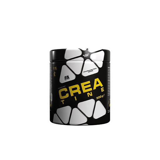 FA Nutrition Creatine 300g